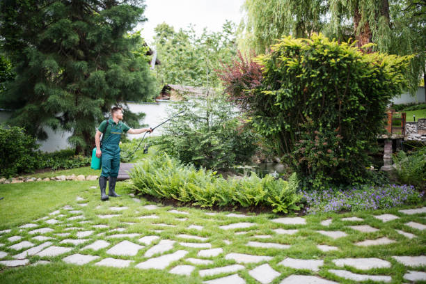 Reliable Garland, TX Pest Control Solutions