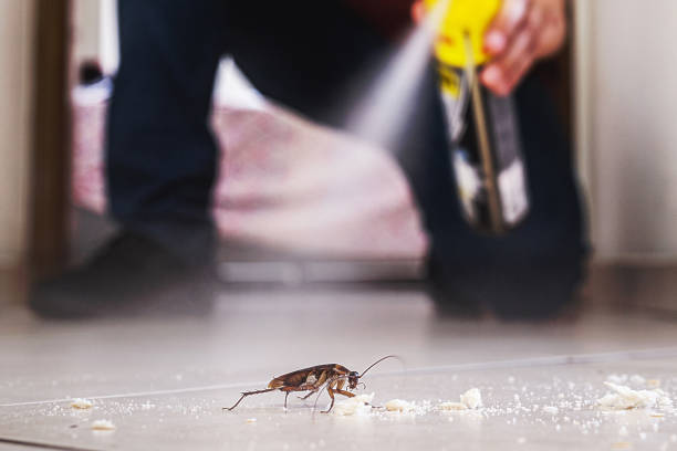 Best Mosquito Control Services  in Garland, TX