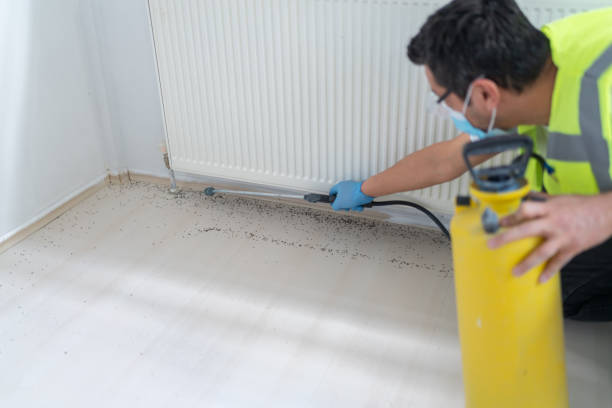 Best Rat Extermination Near Me  in Garland, TX