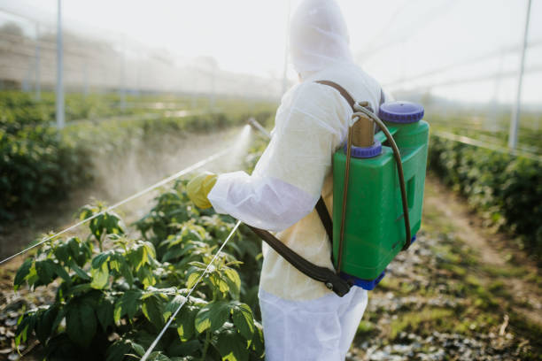 Insect Control in Garland, TX
